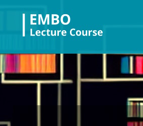 EMBO course on Evolutionary and Comparative Genomics co-organized by Nikos Vakirlis and Christoforos Nikolaou.
